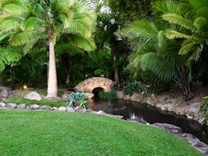 Bamboo Land Nursery and Parklands Bamboo Land Nursery and Parklands