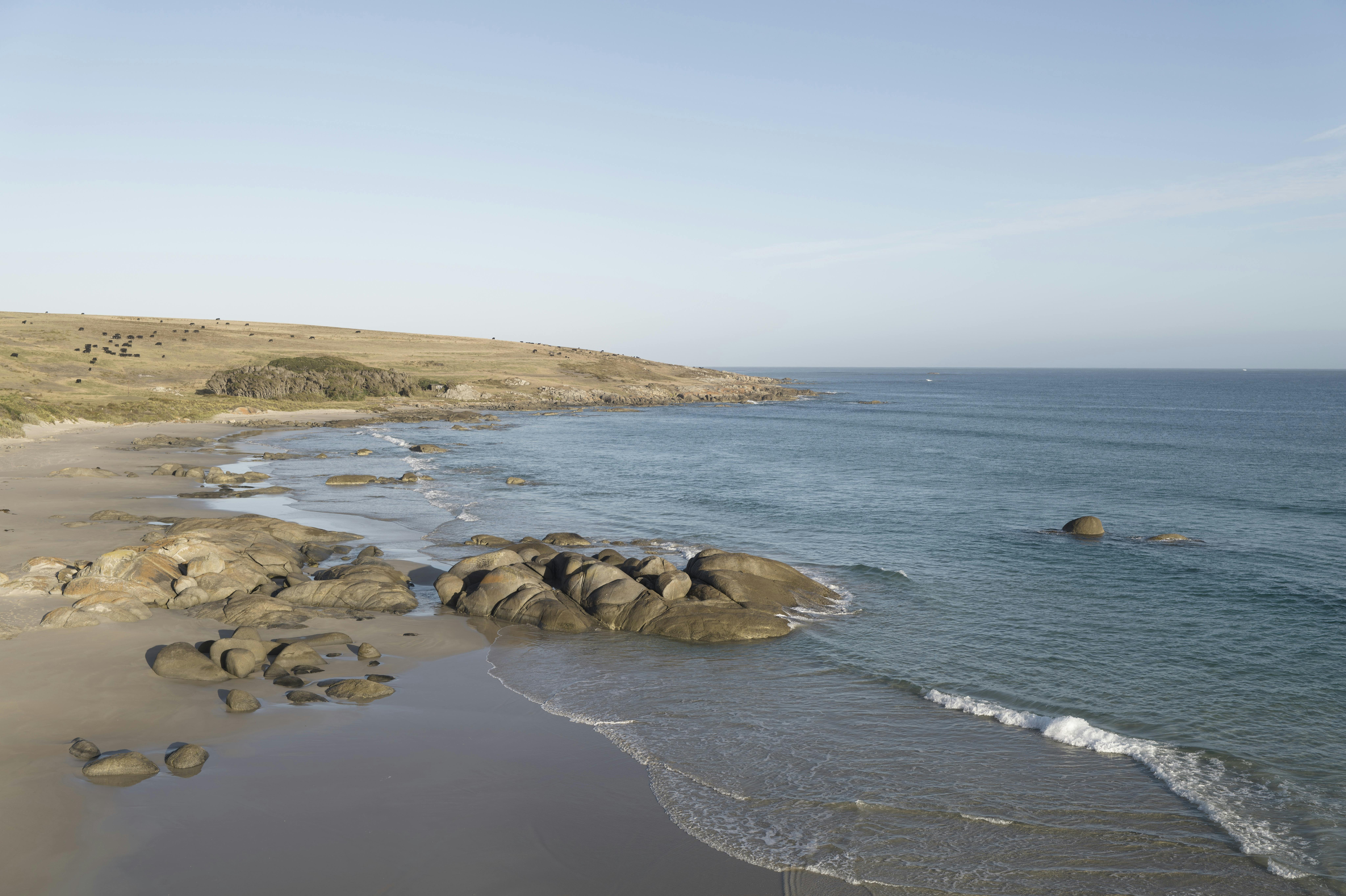 King Island Distillery Bass Strait