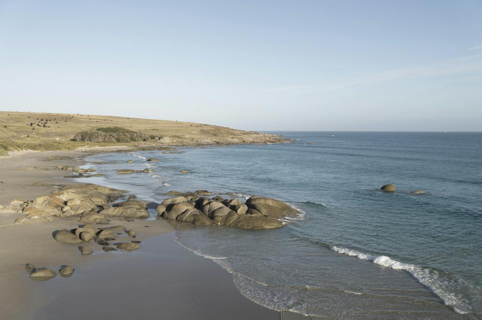King Island Distillery Bass Strait photo