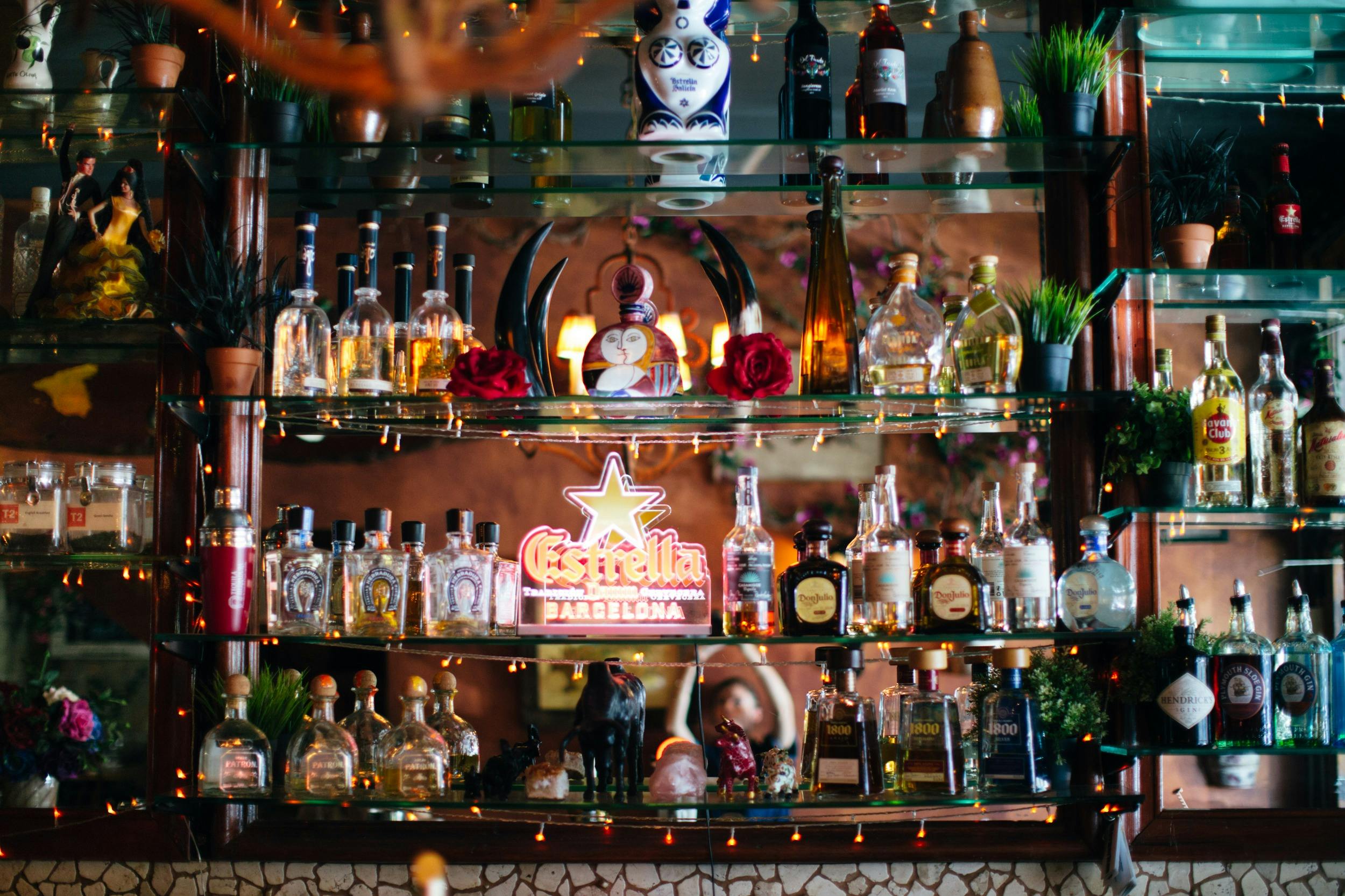 Bar at Del Punto, The Spot in Randwick, Sydney NSW
