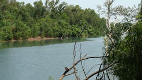Giwining / Flora River Nature Park