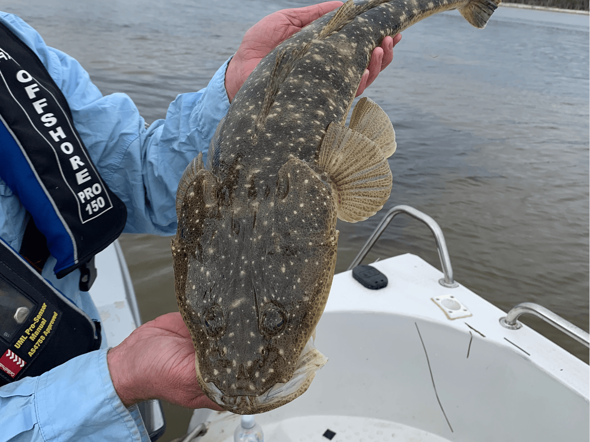 Dusky Flathead