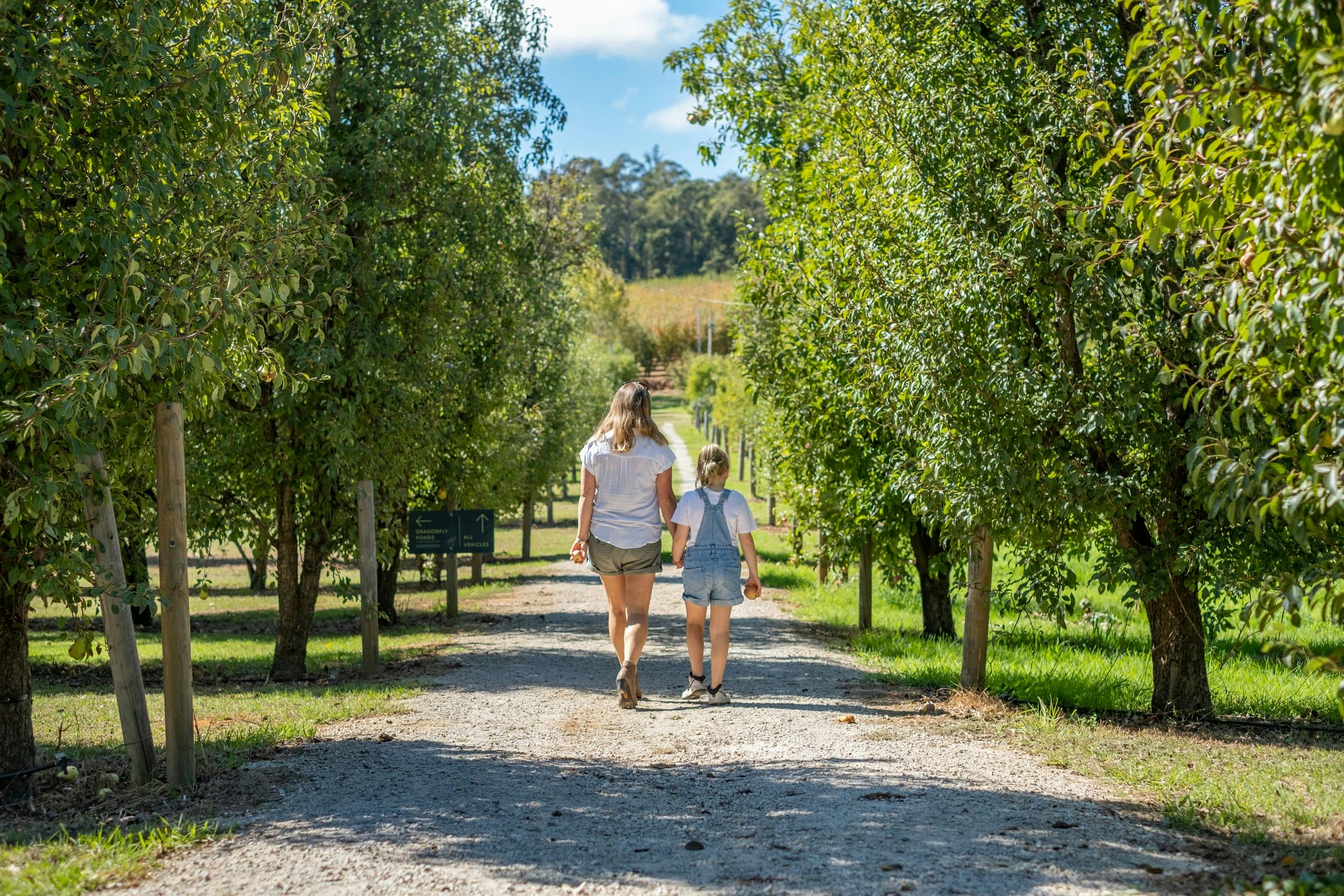Core Cider, Perth Hills