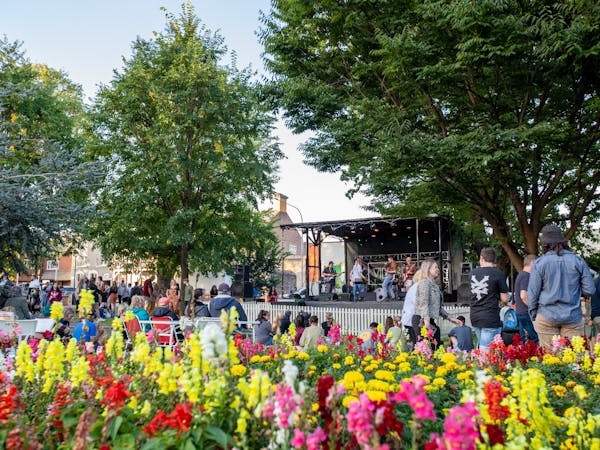Vibesfest Goulburn