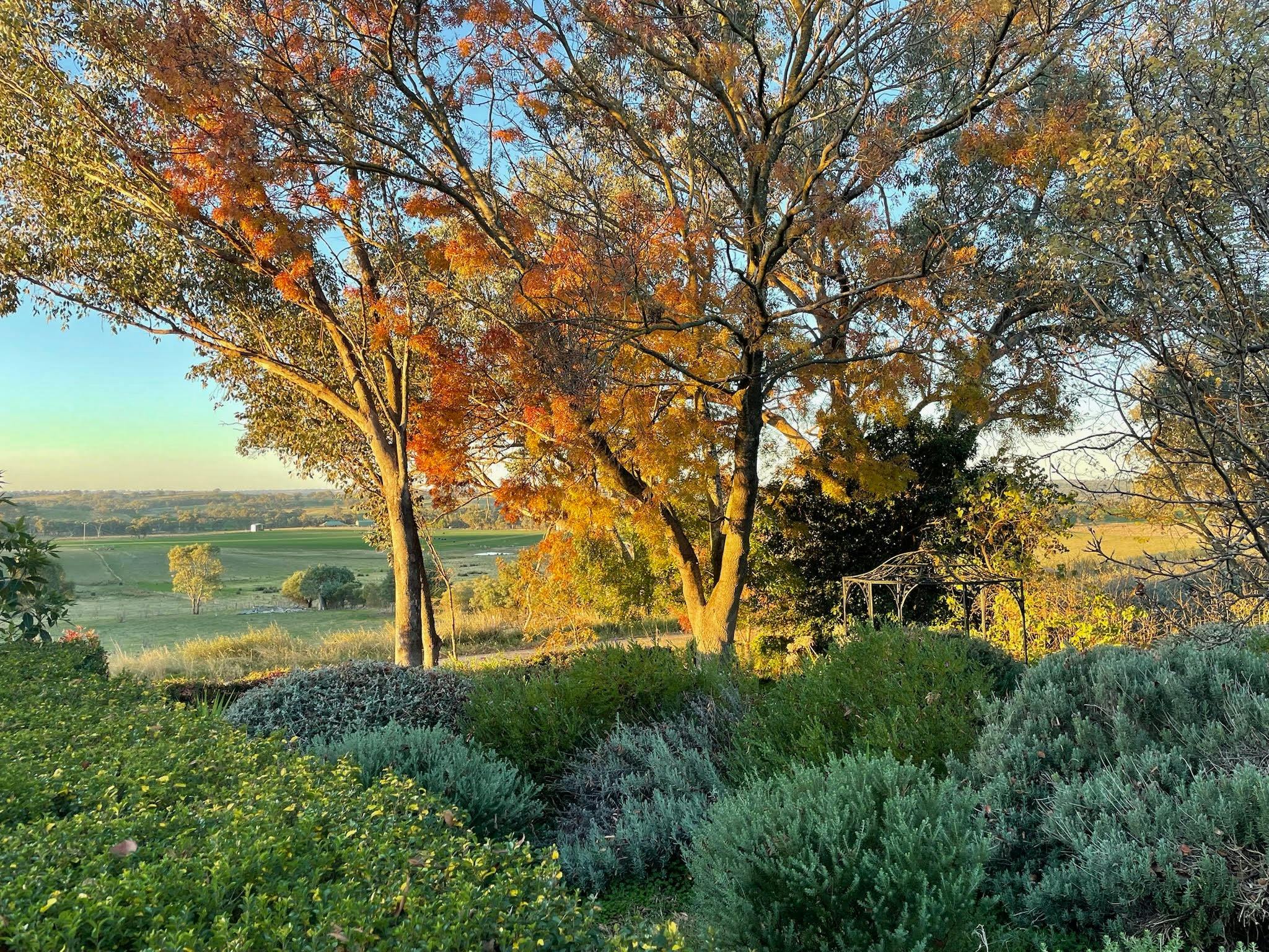 Nubba garden