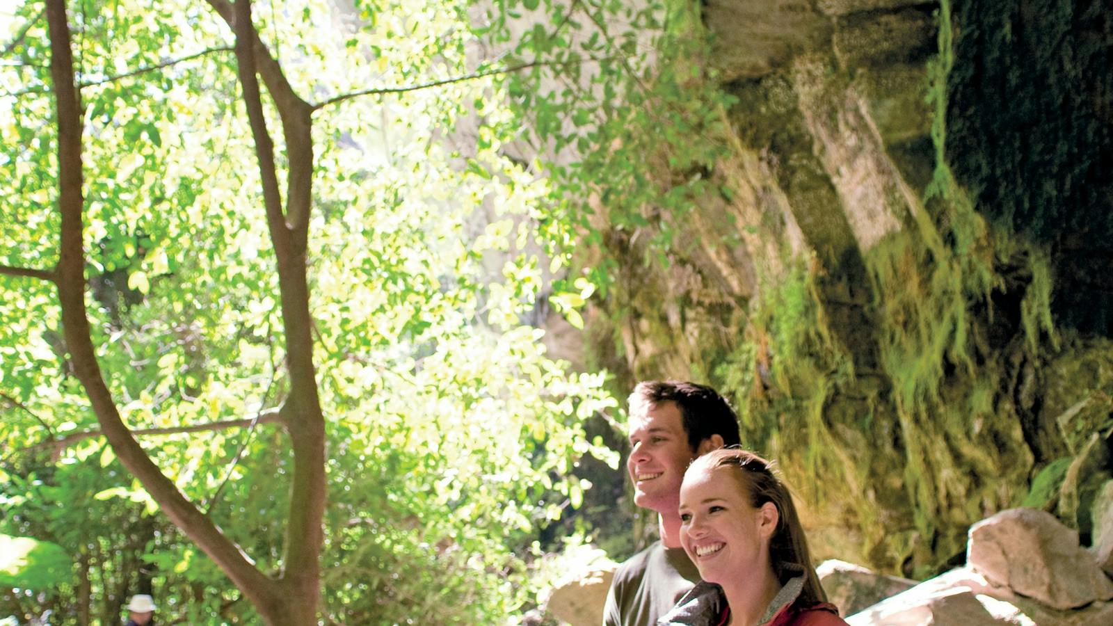 Carnarvon Gorge