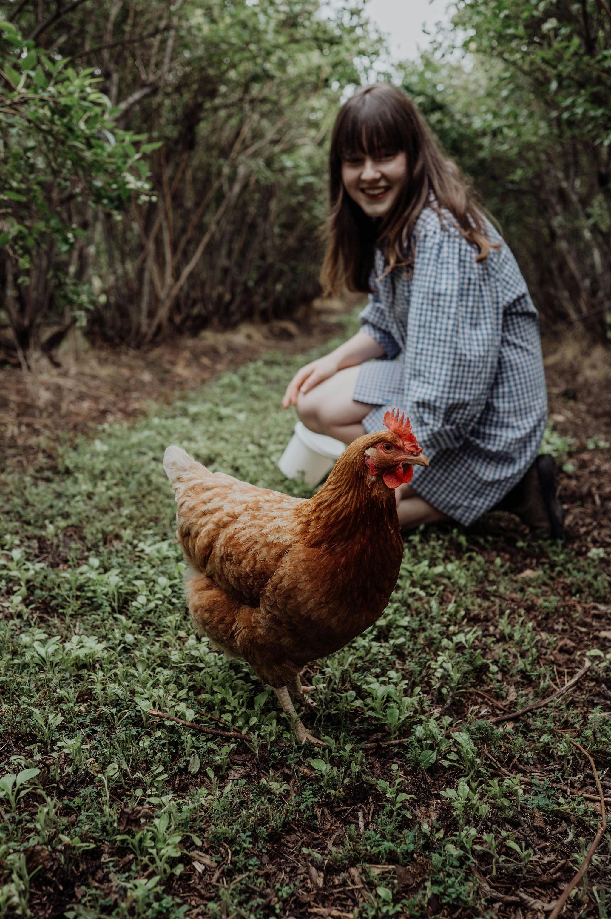 Experience farm life