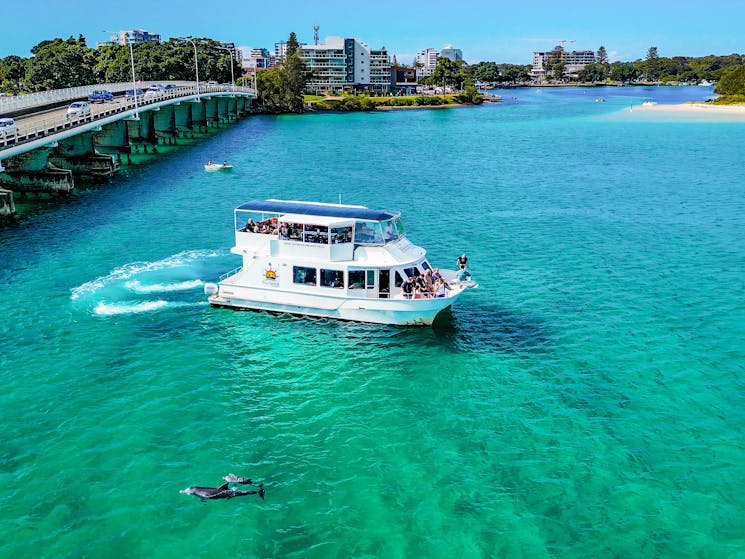 dolphin lake cruise forster