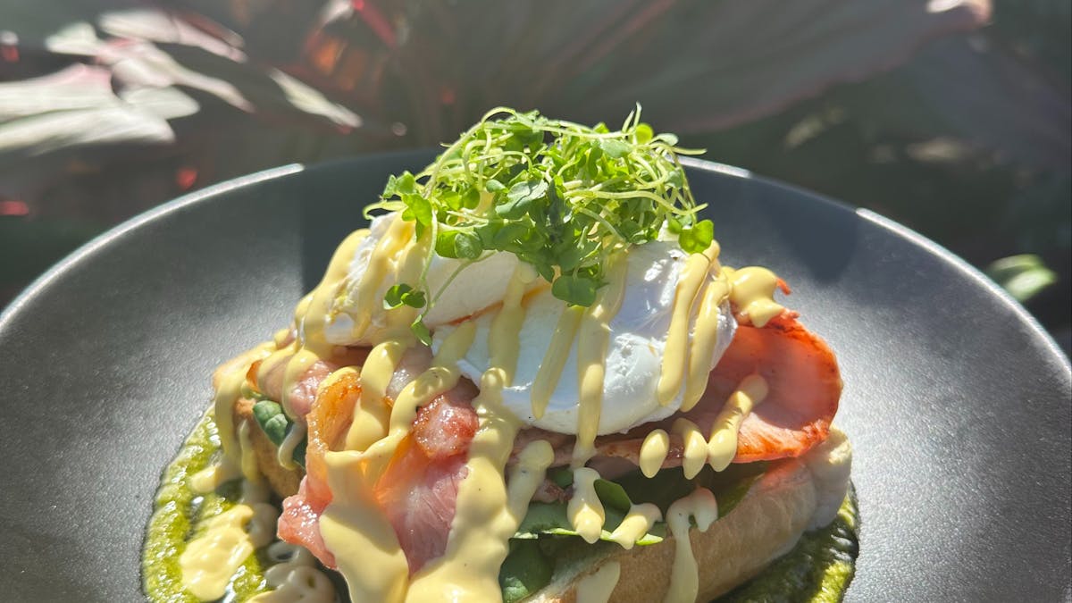 Bacon Benny Bacon Benny