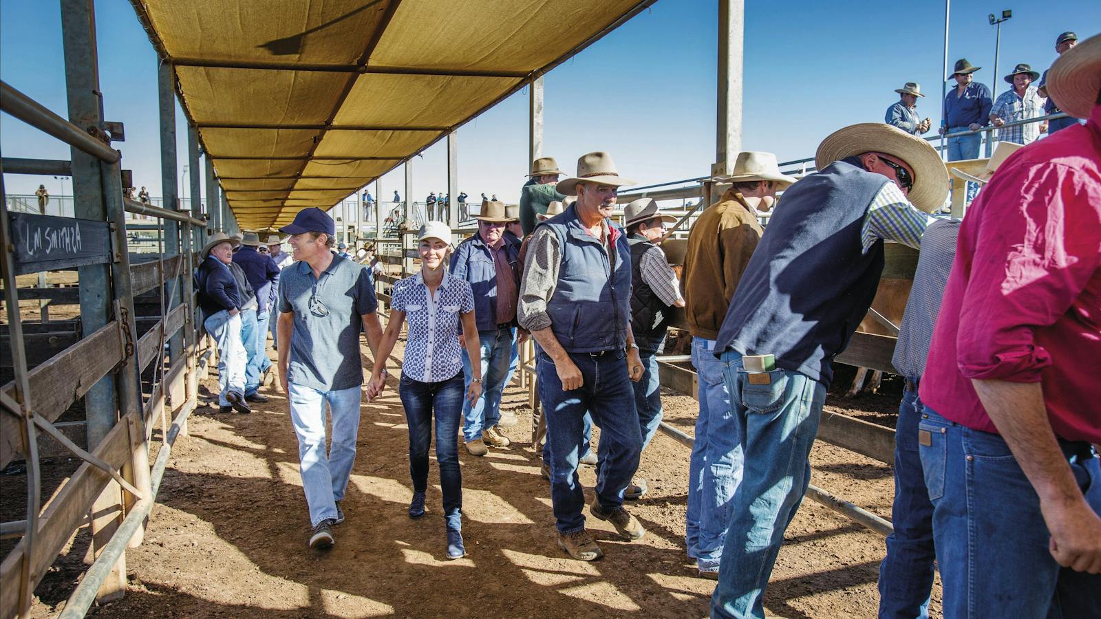 Roma Saleyard Tours