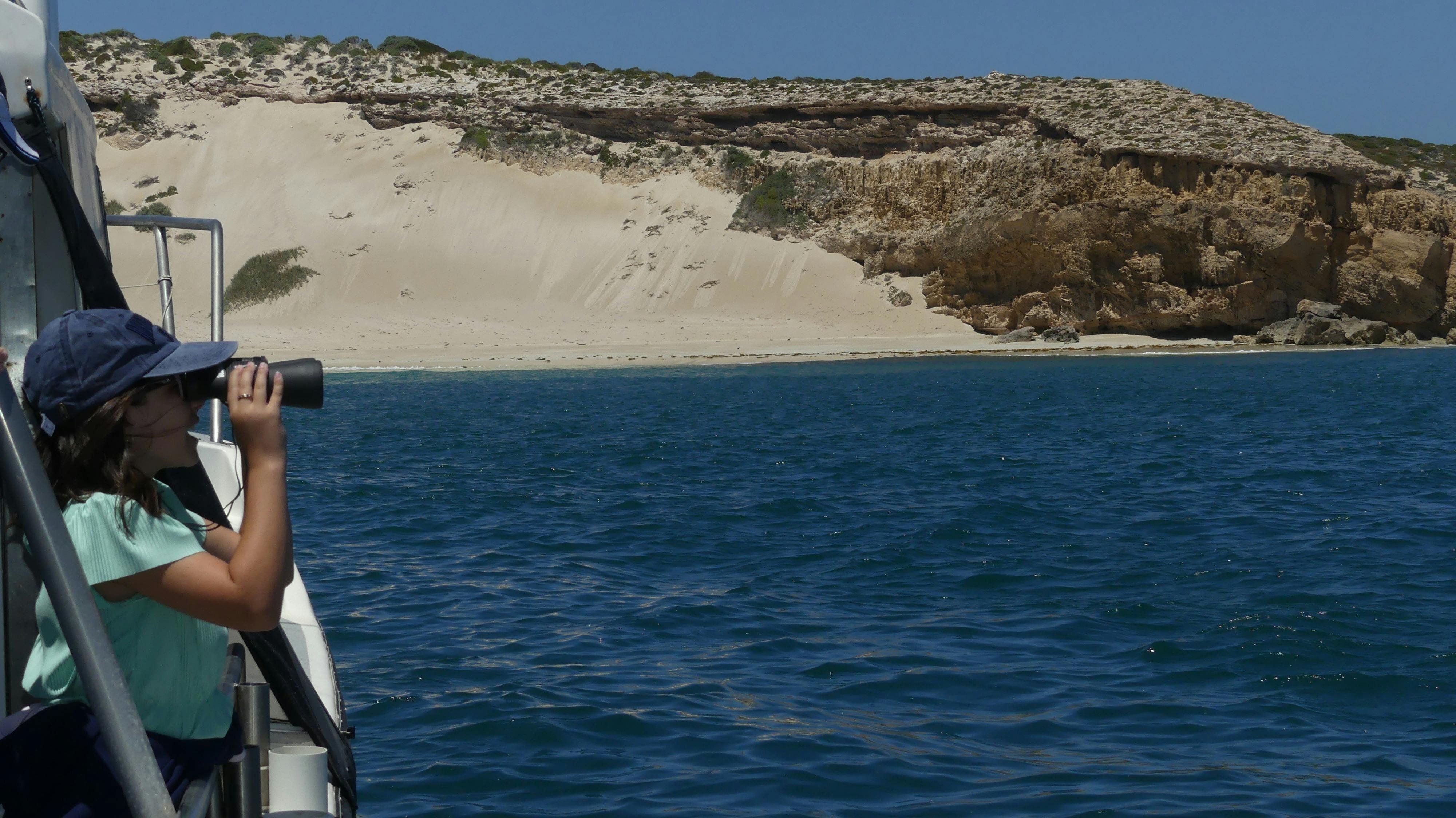 ocean safari scenic coastal tours