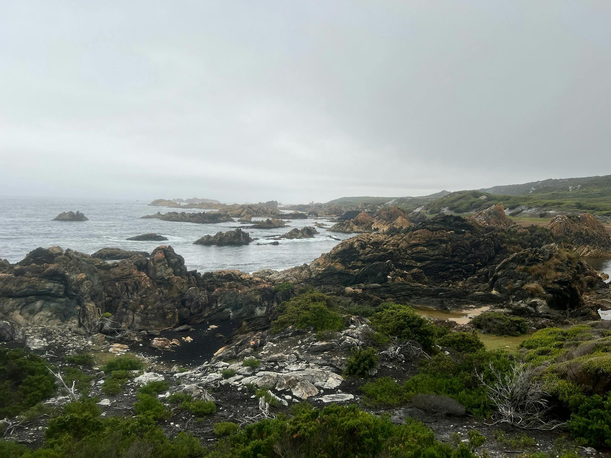 Southwest Expeditions