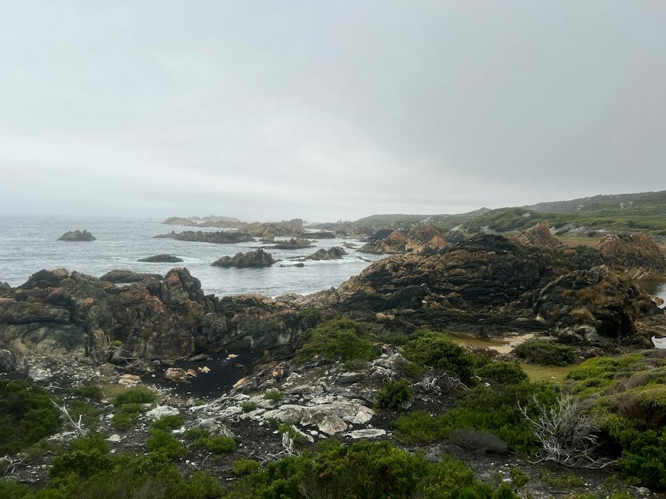 Southwest Expeditions photo