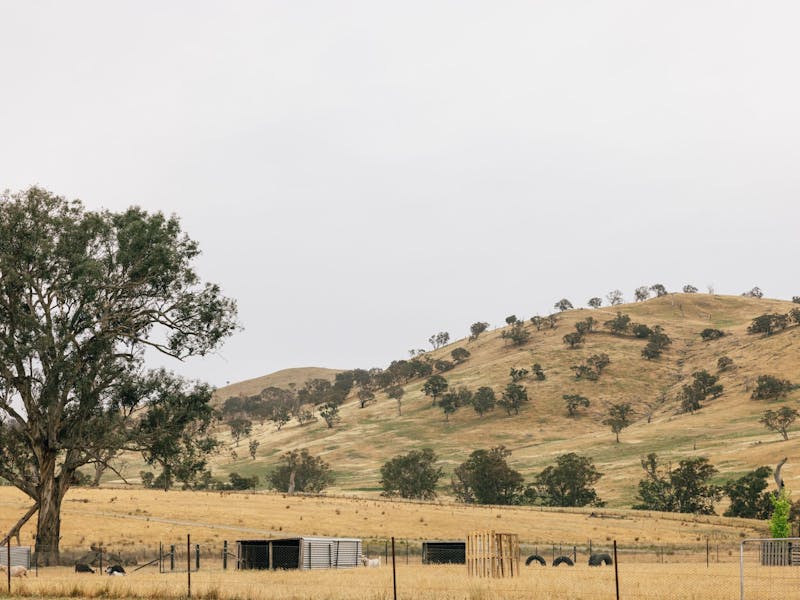 Image for Tiny Tails Farm Stay