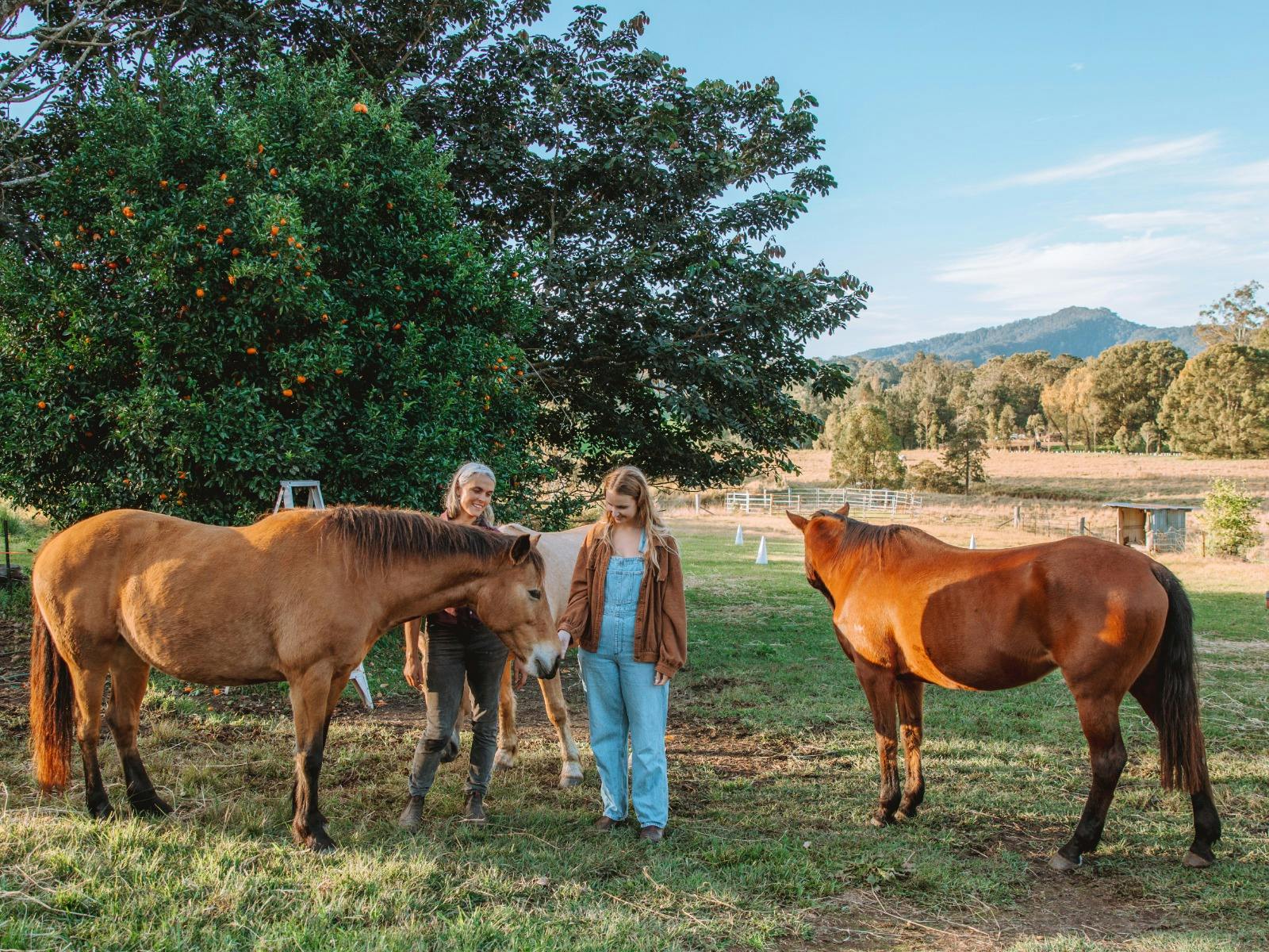 Horse Therapy