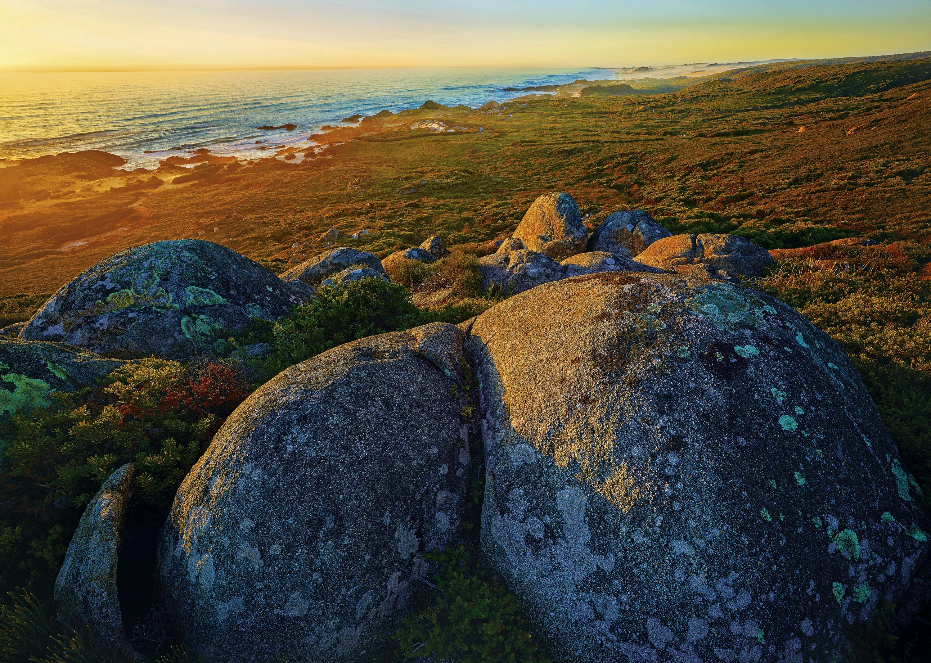 Tarkine Coast Expedition