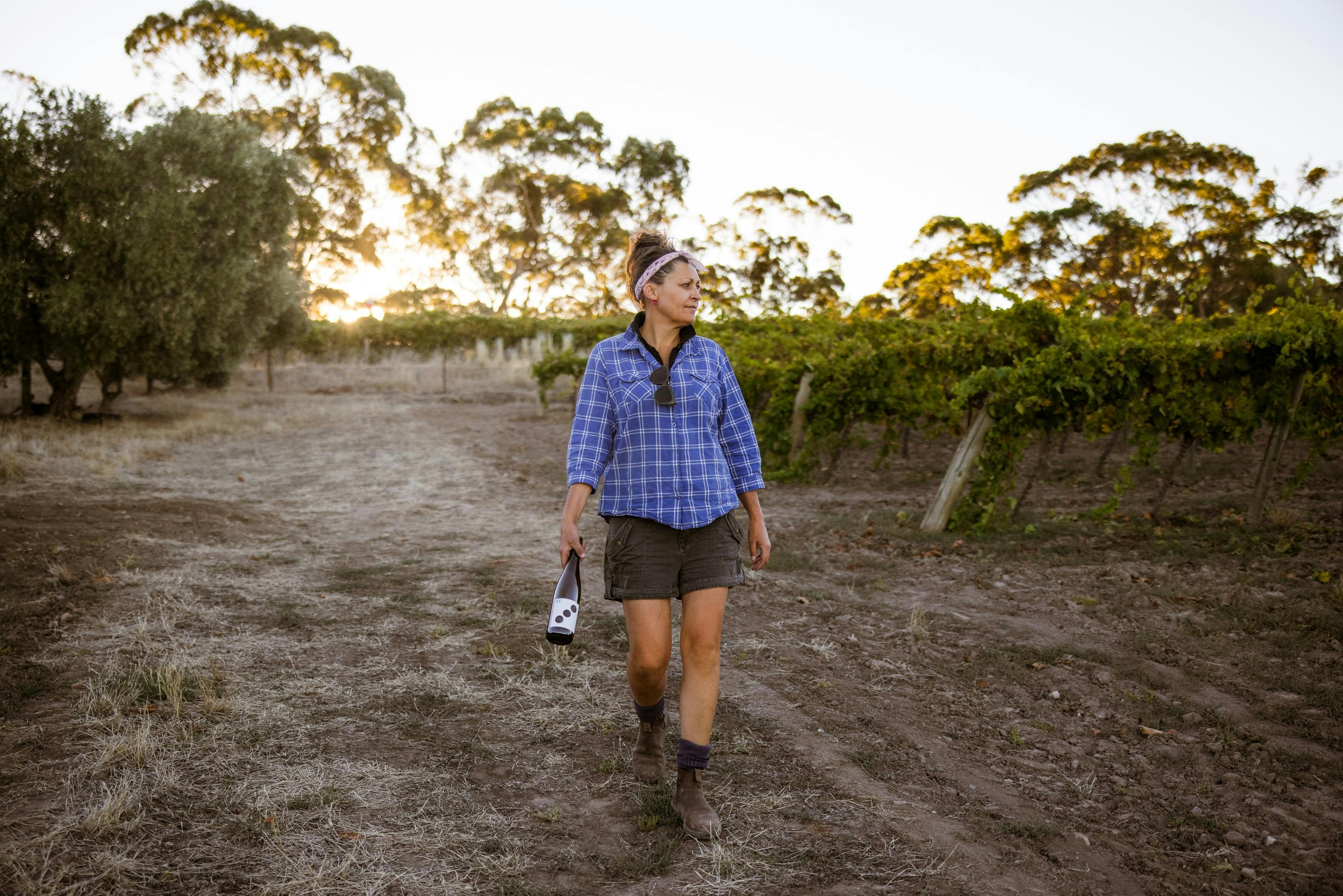 Wines by KT 2024 Clare valley SCA Gourmet Week