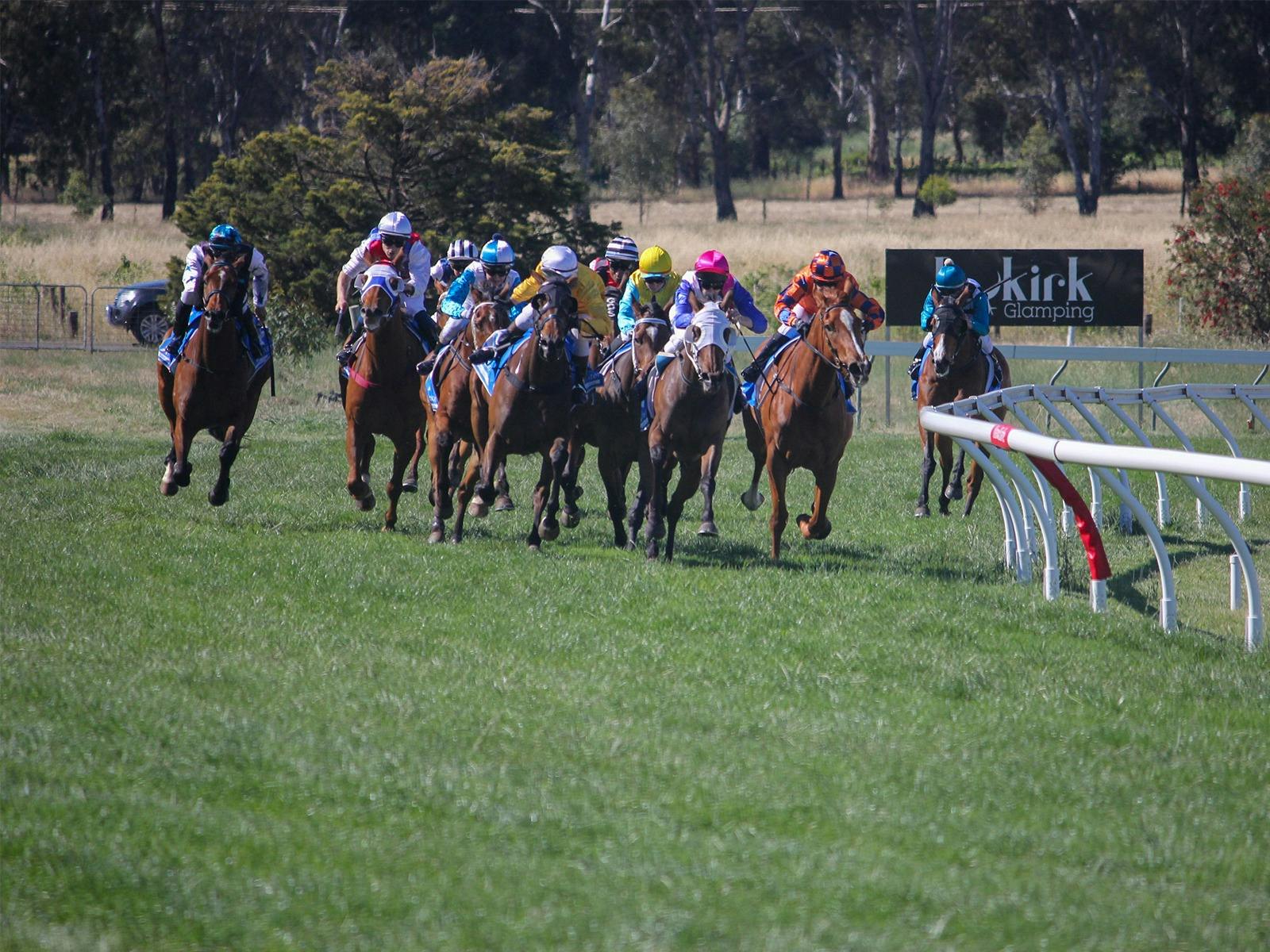 Horses racing