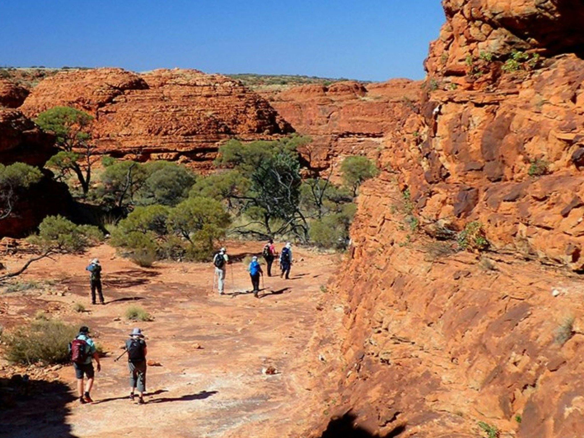 Larapinta & the East MacDonnells -9 Day - Group-Guided