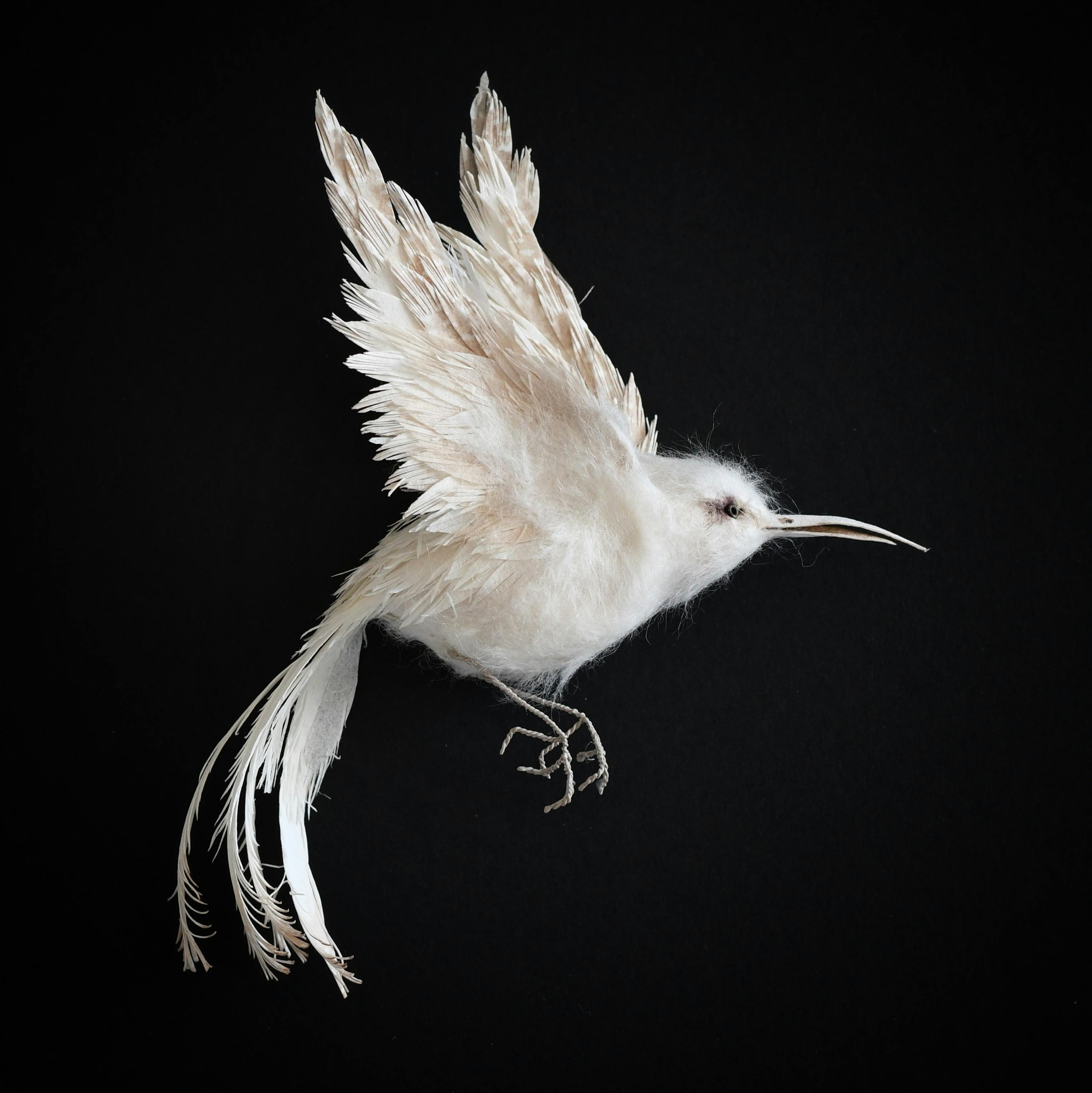 The Light of Dawn (detail), paper, wire, framed, by Colleen Southwell