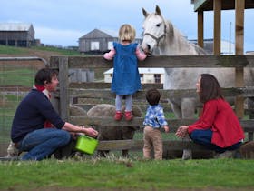 28 gates Luxury Farmstay and Fishery