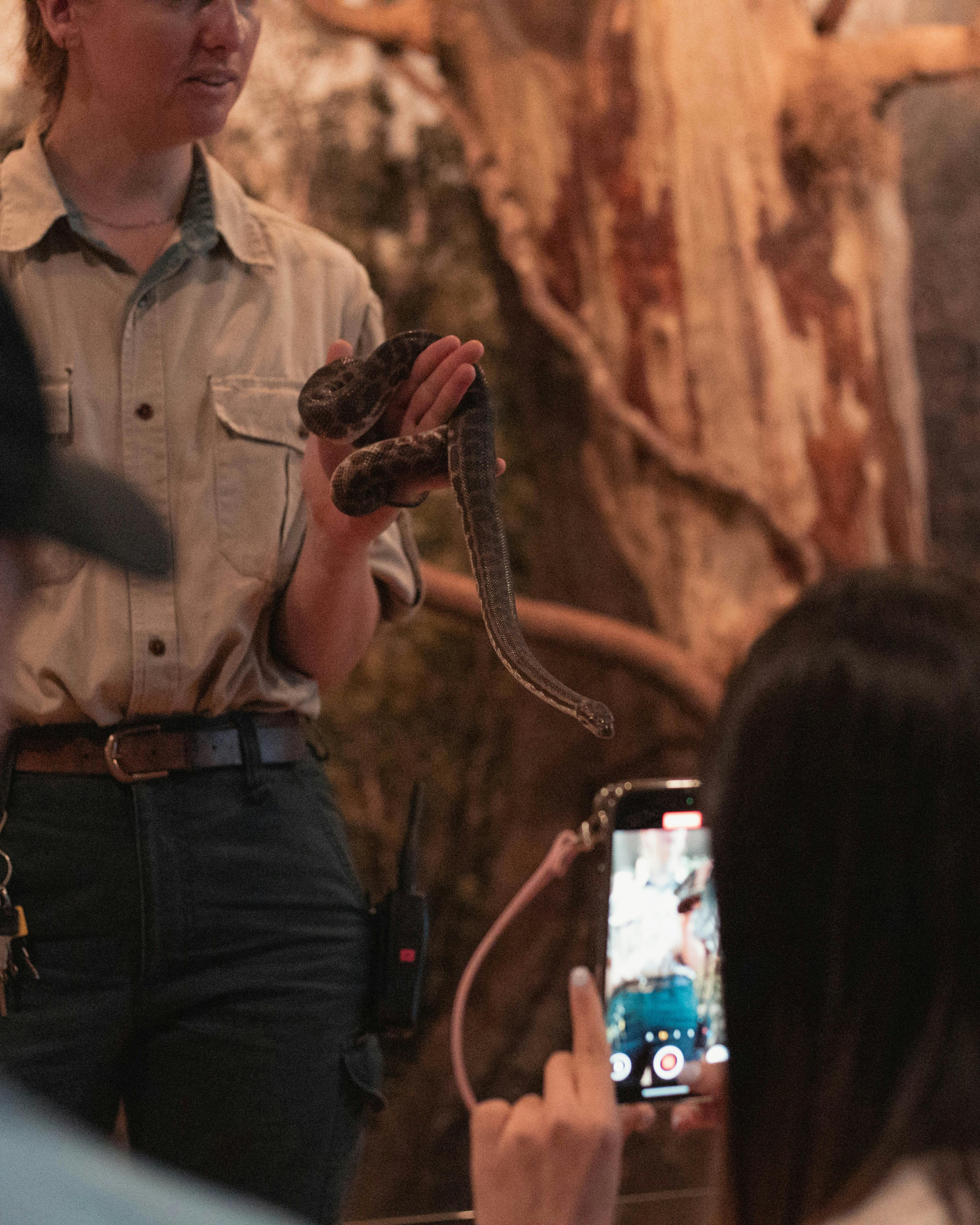 Backpacker Value Tour