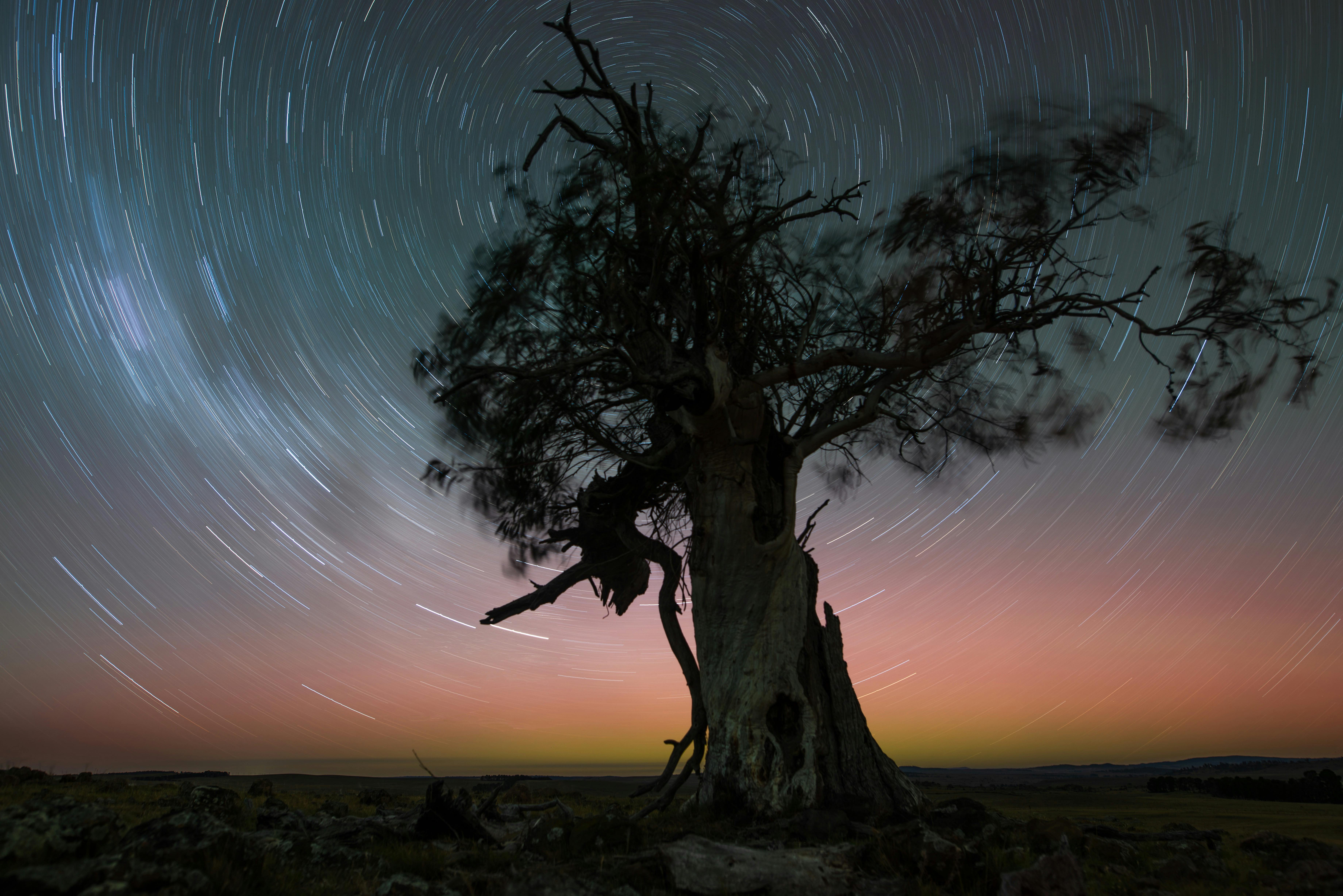 A star trail can be obtained by using longer exposure techniques and can be covered in the course