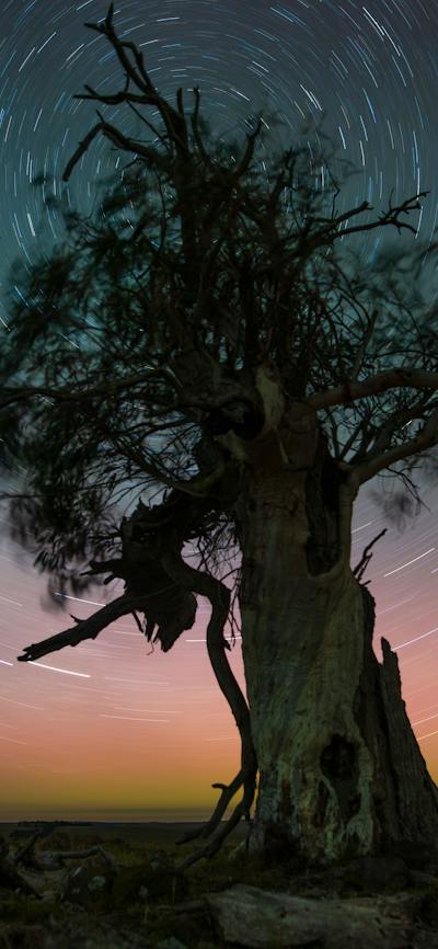 A star trail can be obtained by using longer exposure techniques and can be covered in the course