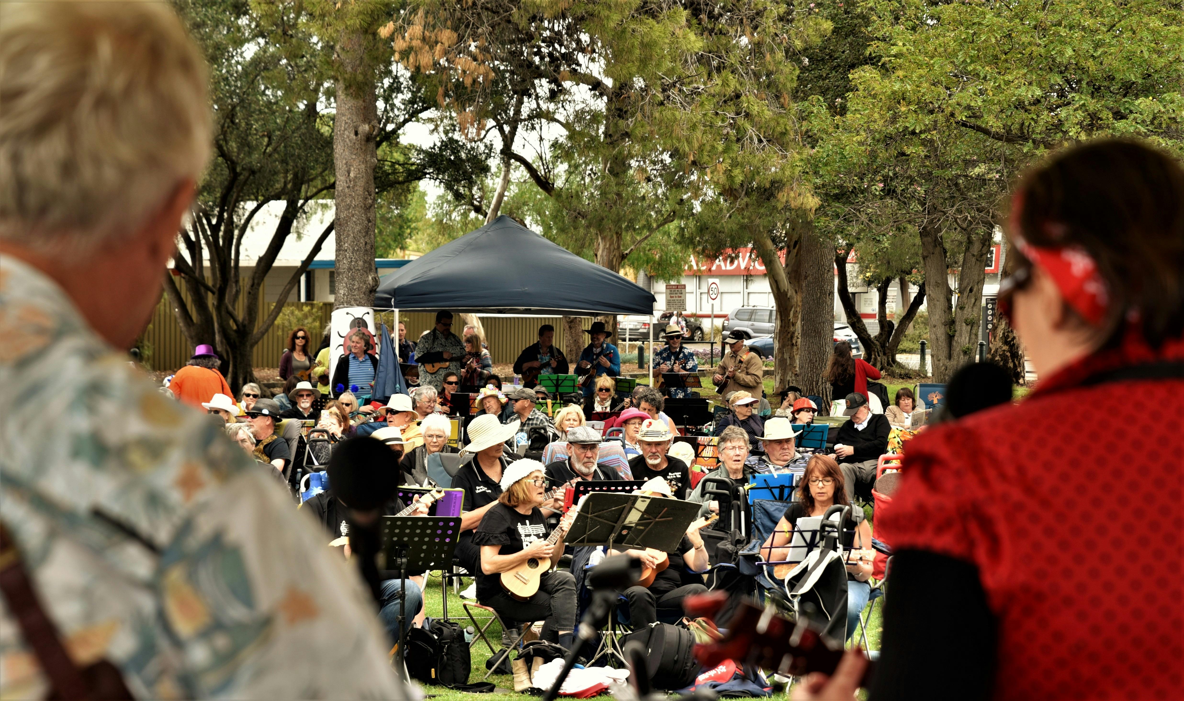 The 6th Annual Great Adelaide Ukulele Picnic! Prospect City Community