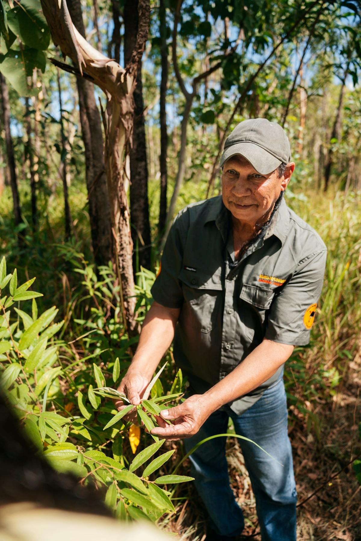Bush medicine and food tours with world-renowned expert, Mooks