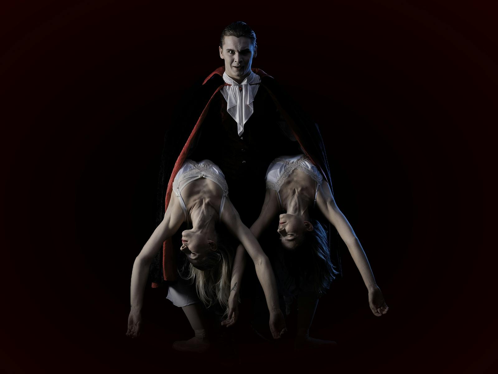 Image for Dracula the Ballet - Newcaslte