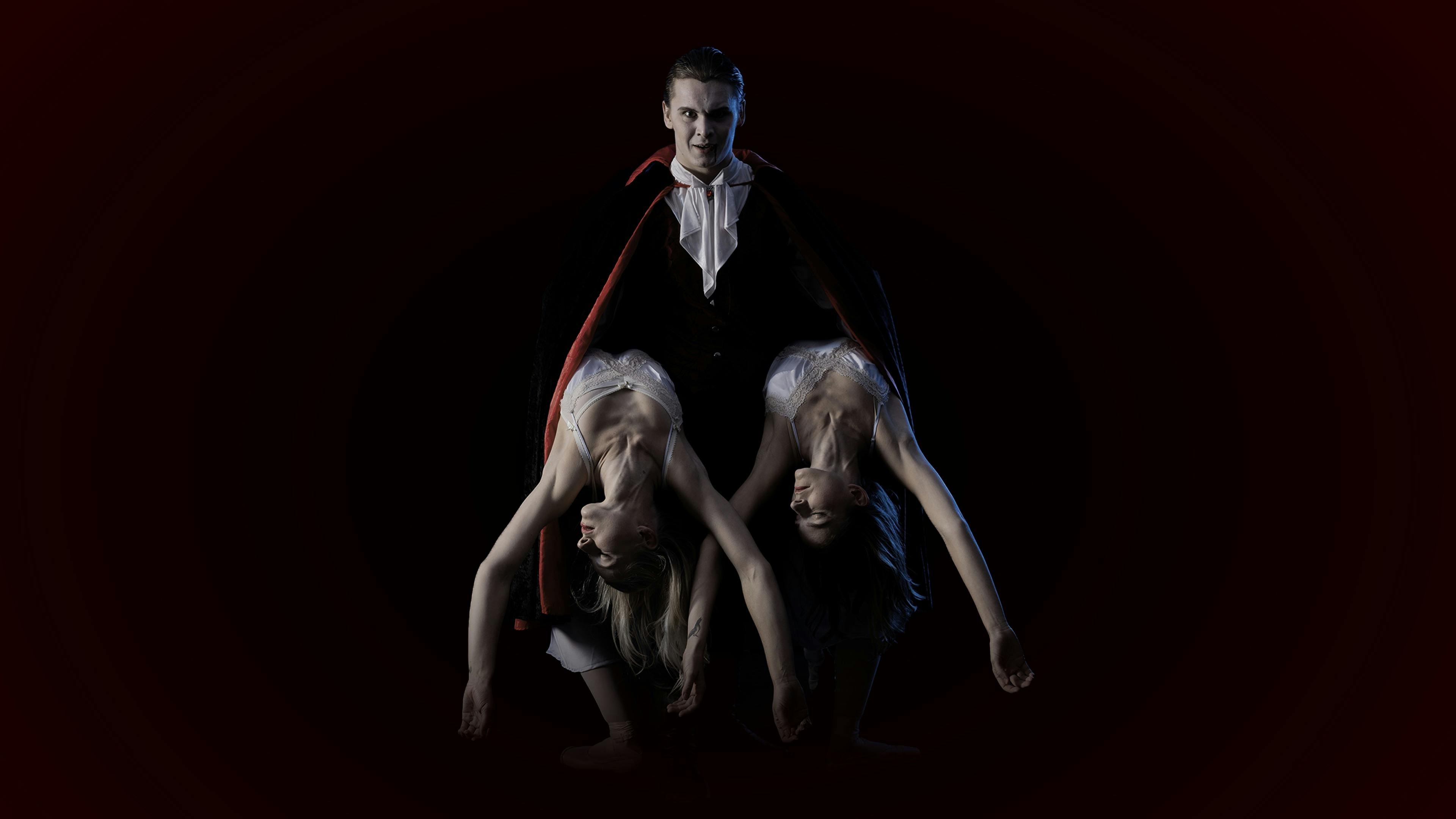 Dracula the Ballet - Brisbane