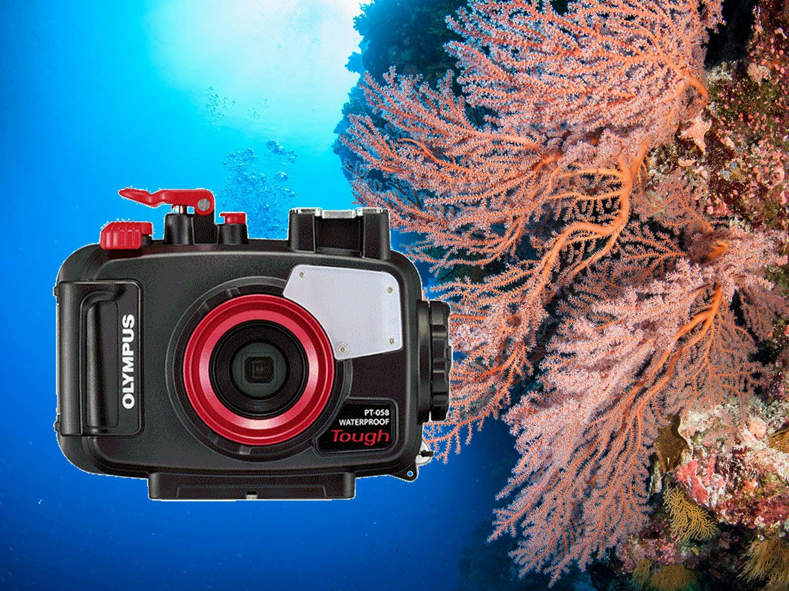1 x Free Underwater Camera Hire