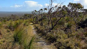 Mount Richmond National Park