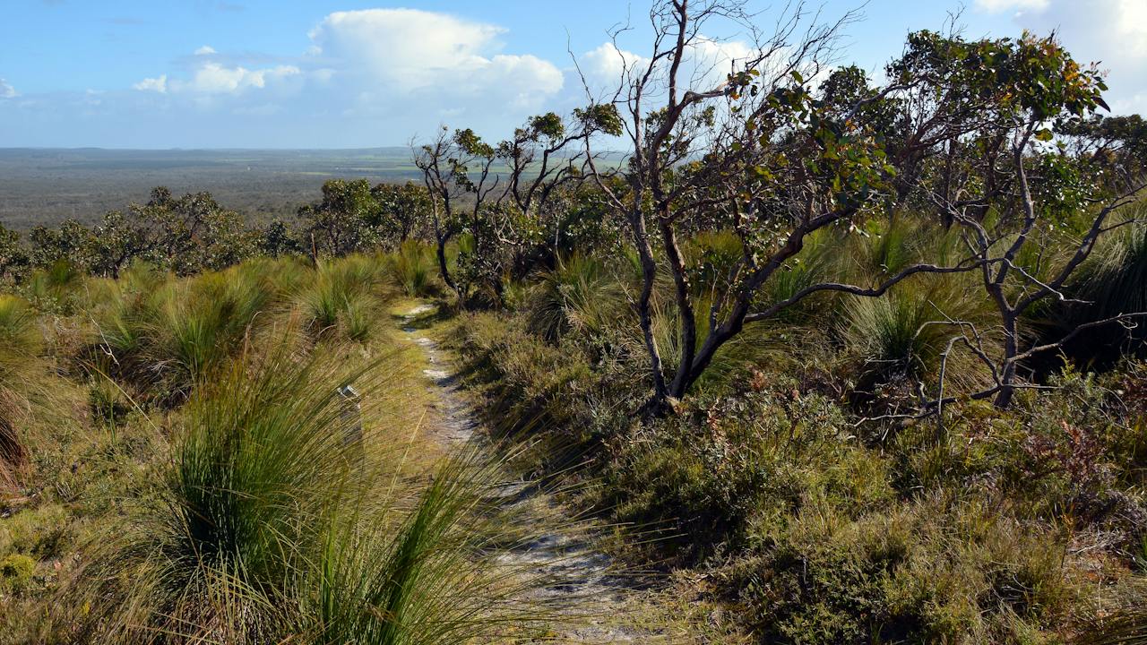 Mount Richmond Nationa Park - Benwerrin Walk