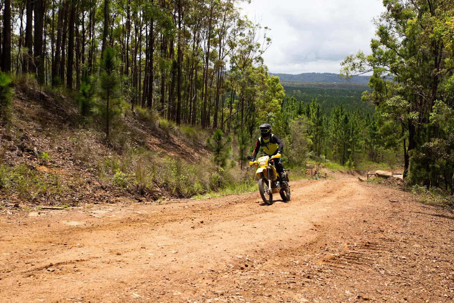 Riding-Dirt-Bike-In-State-Forest