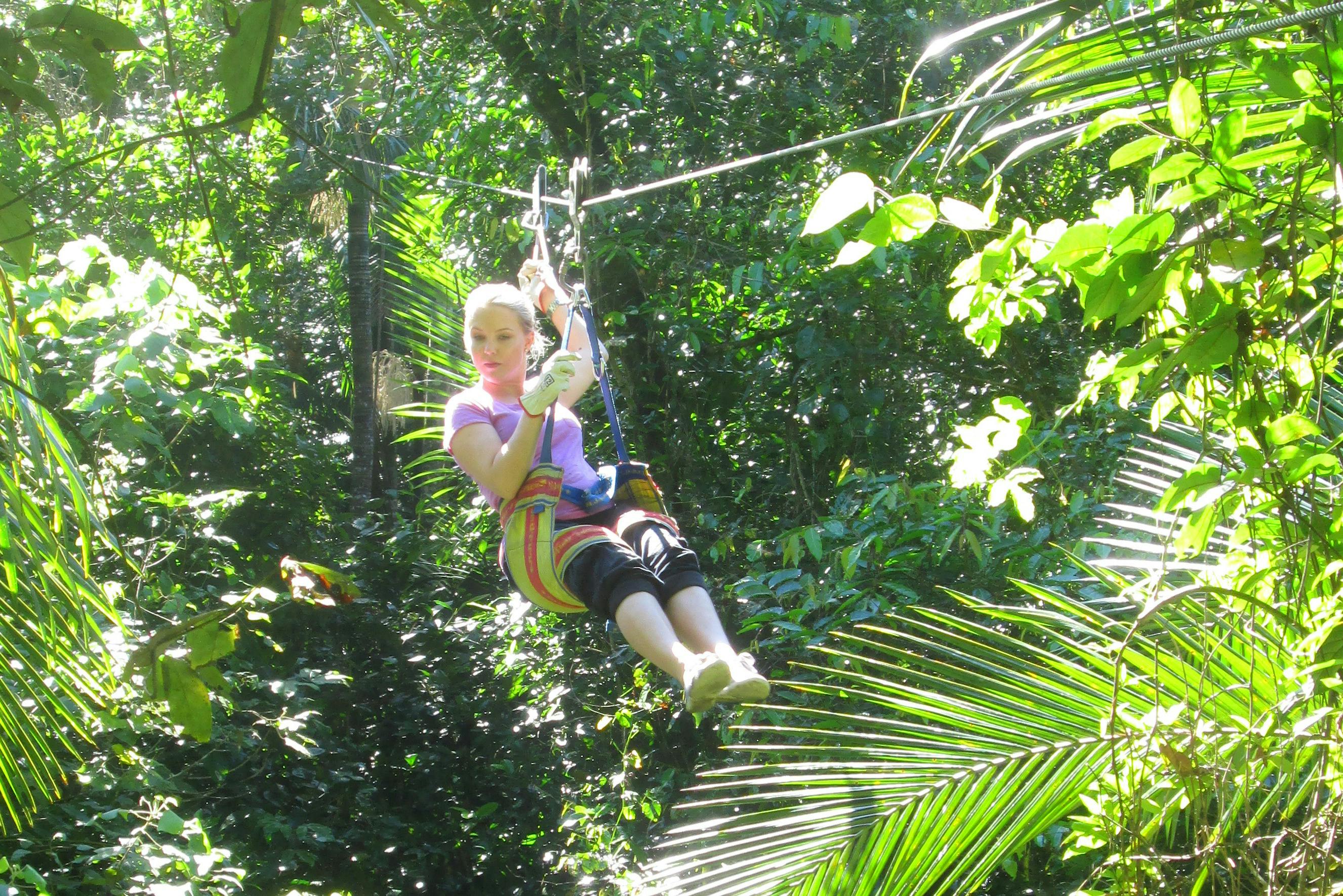 Forest Flying
