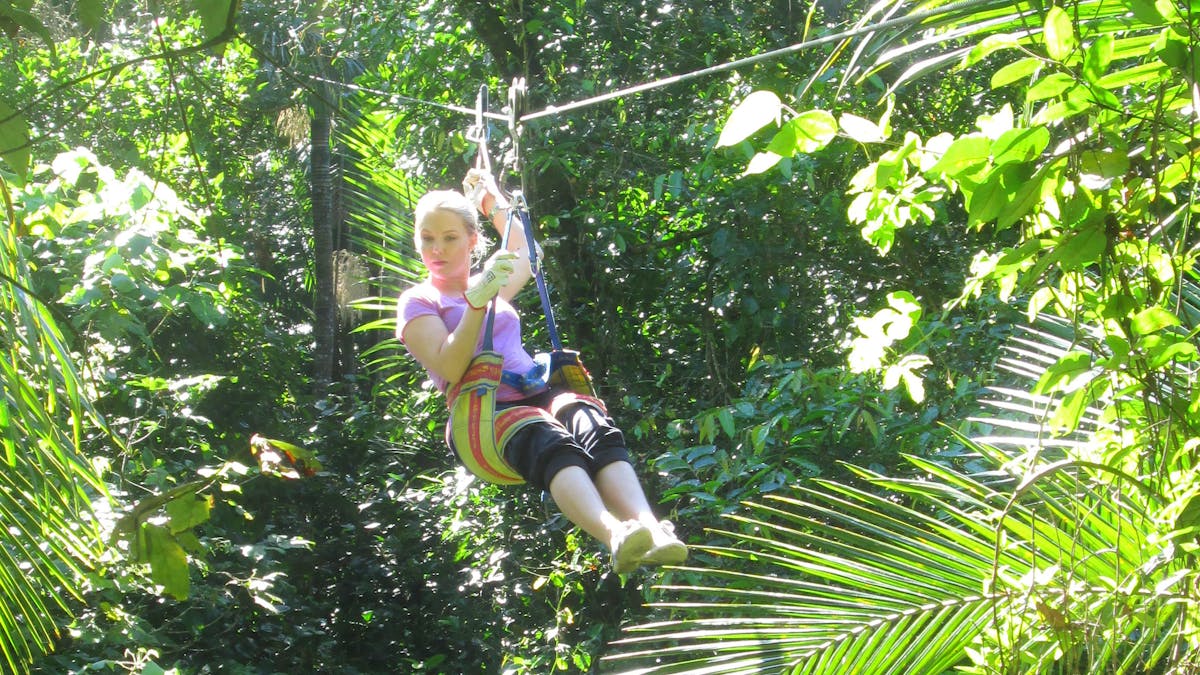 Forest Flying