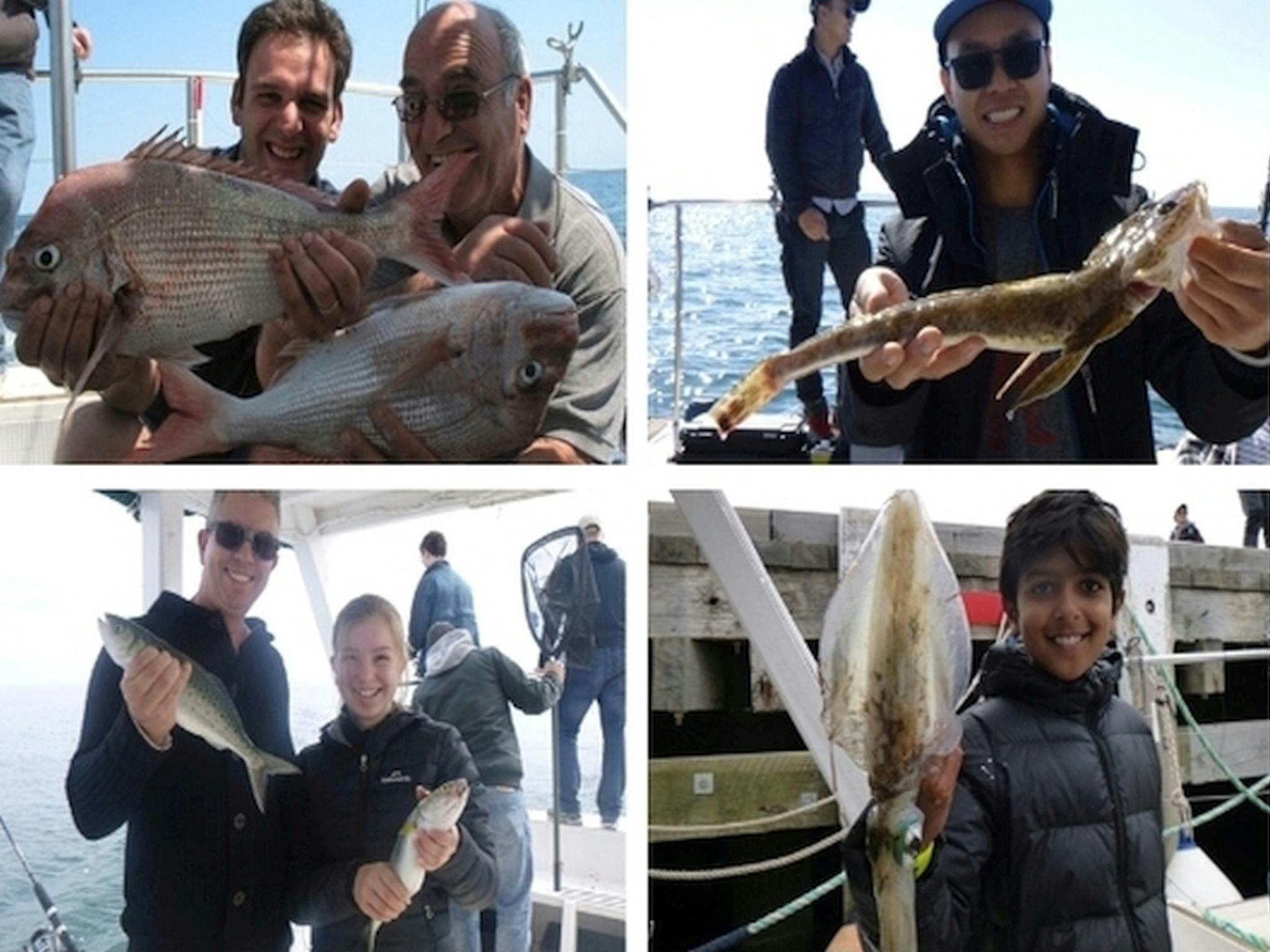Port Phillip fish samples 1