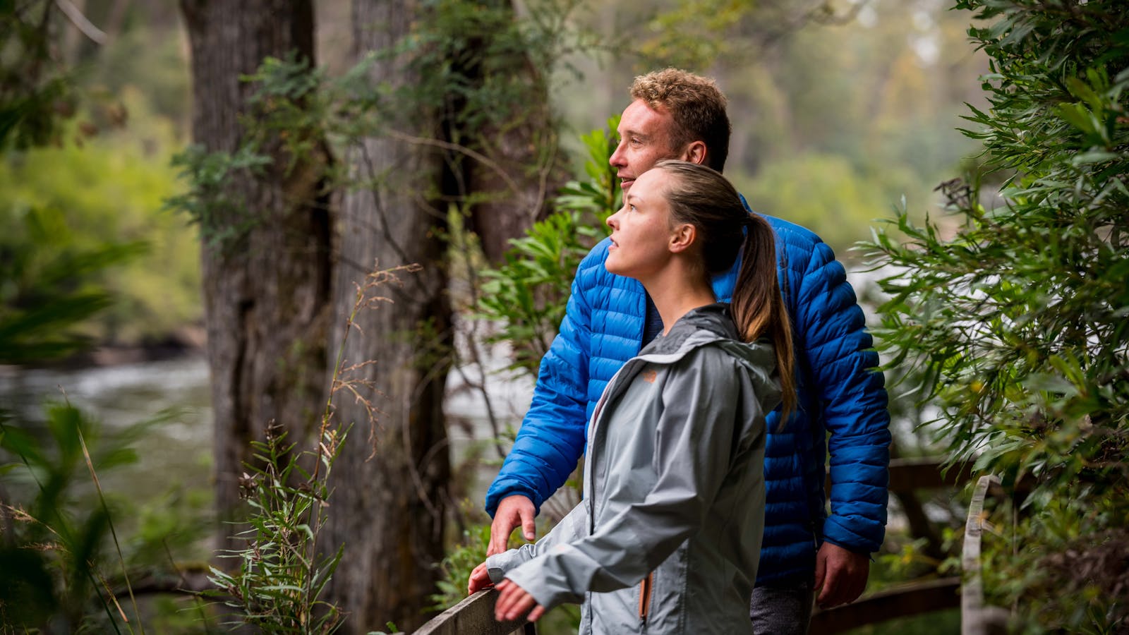 Huon Pine walk located at Tahune Adventures Tasmania