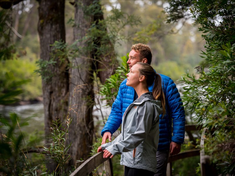 Tahune Adventures Tasmania - Tahune Airwalk