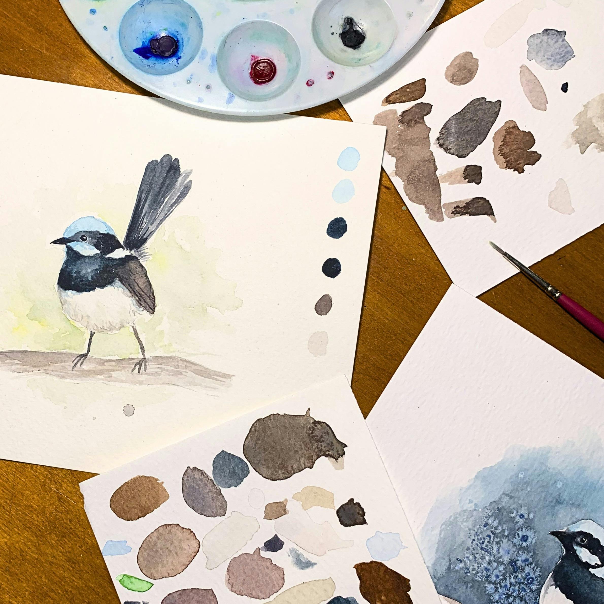 Watercolour Workshop Blue Fairy Wren - Advanced Beginner