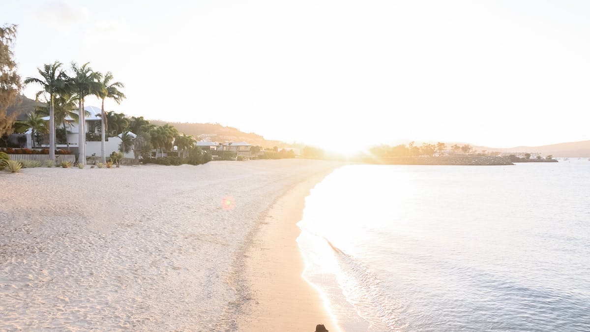 Person on the beach walking towards water, empty beach edged with palm trees, houses and rocks