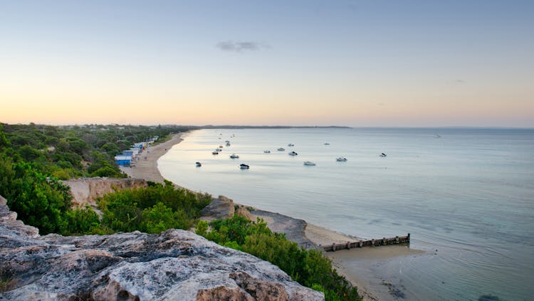 Whitecliffs