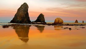 Glasshouse Rocks and Pillow Lava