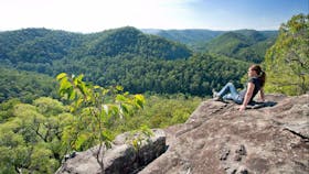 Dubbo Gully loop trail, Dharug National Park. Photo: Nick Cubbin