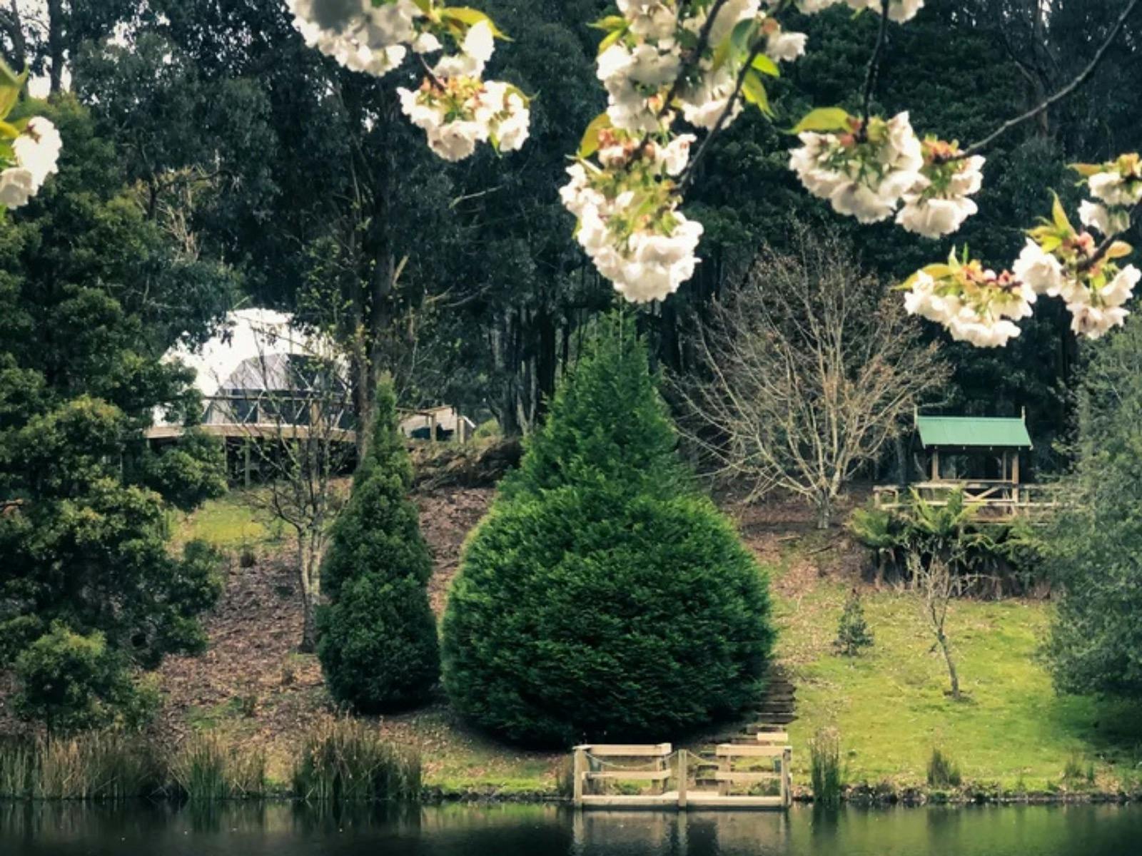 Heart Meets Land retreat