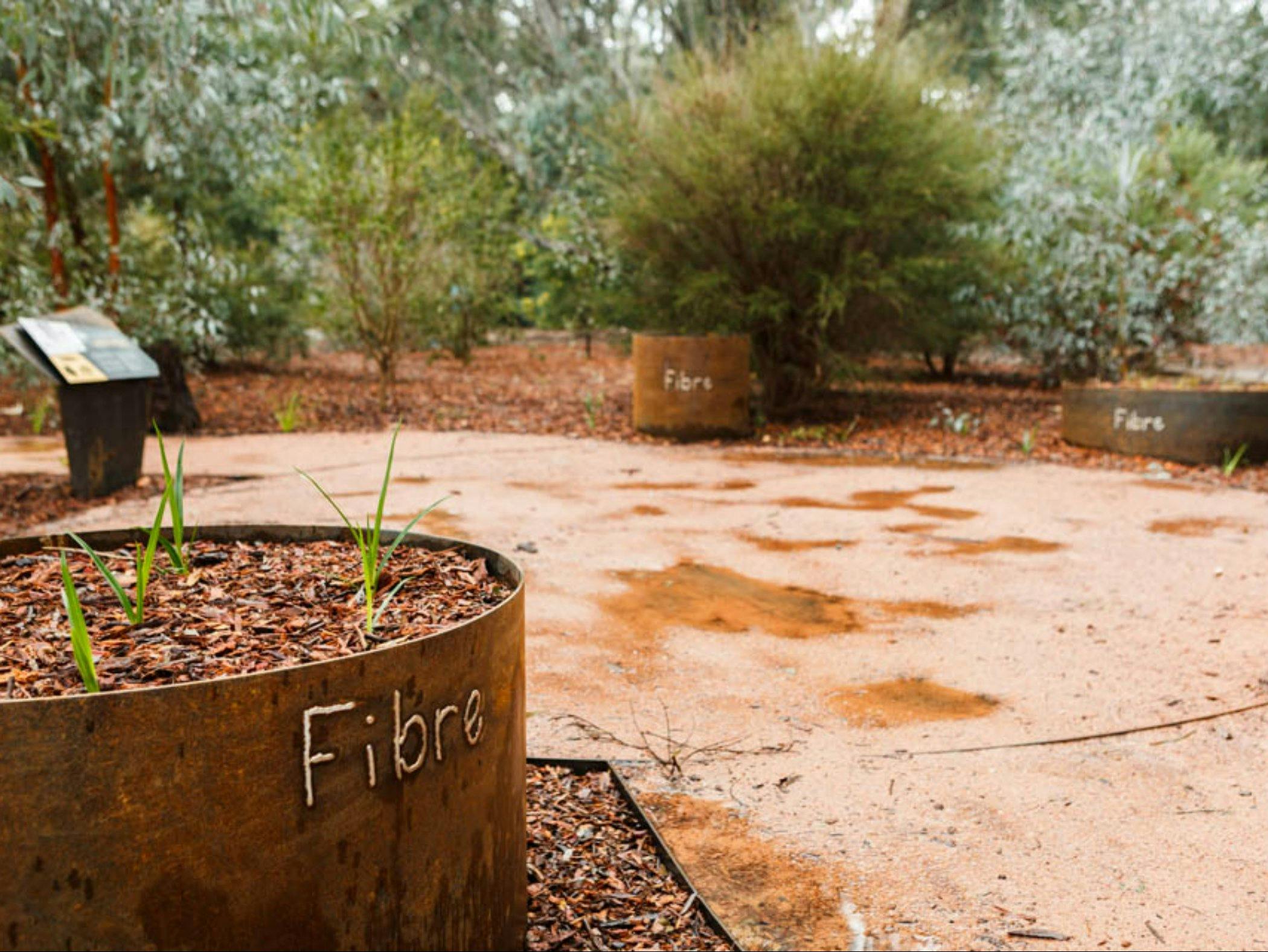 Bush Tucker Garden - Bullawah Cultural Trail