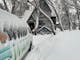 Snow covered vehicle with chalet and snow covered trees in background