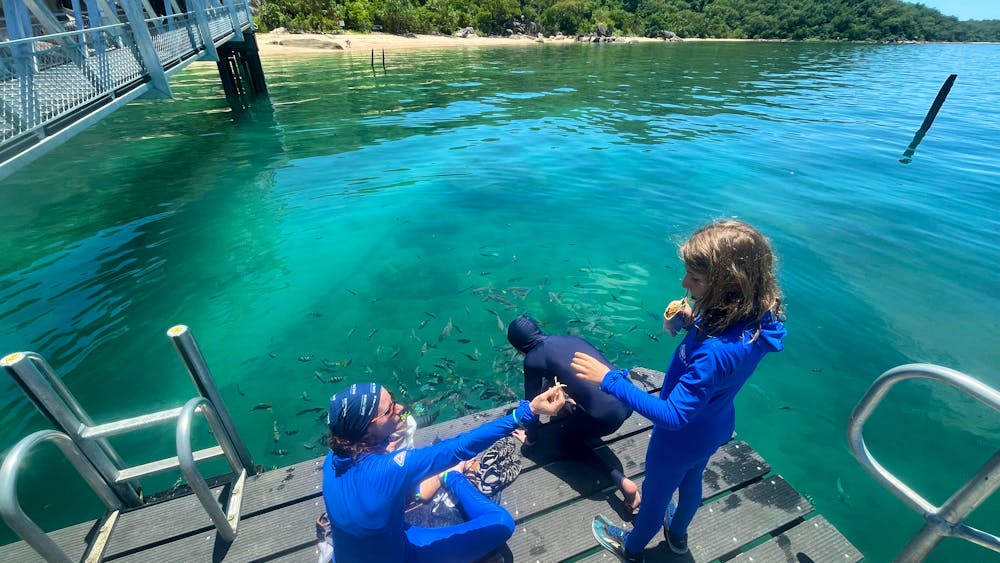 North Queensland Island Charters